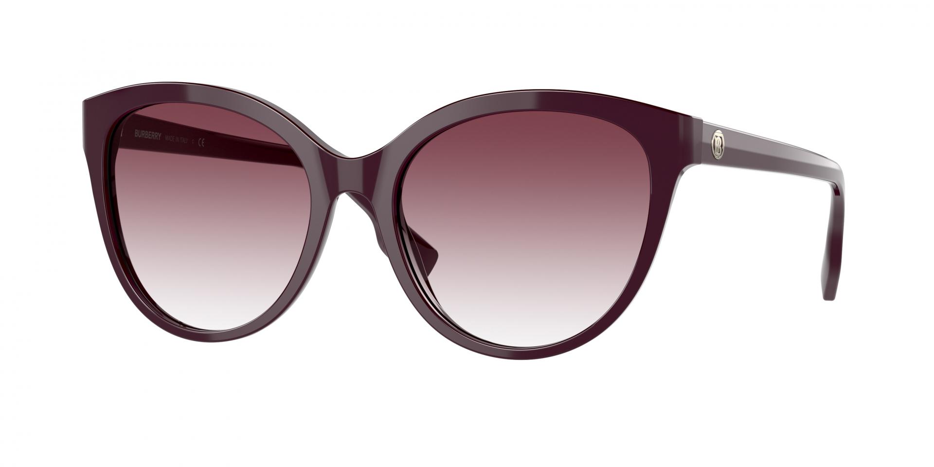Sunglasses Giorgio Armani AR8199U 587973 8056597943000 | Ottica Lux