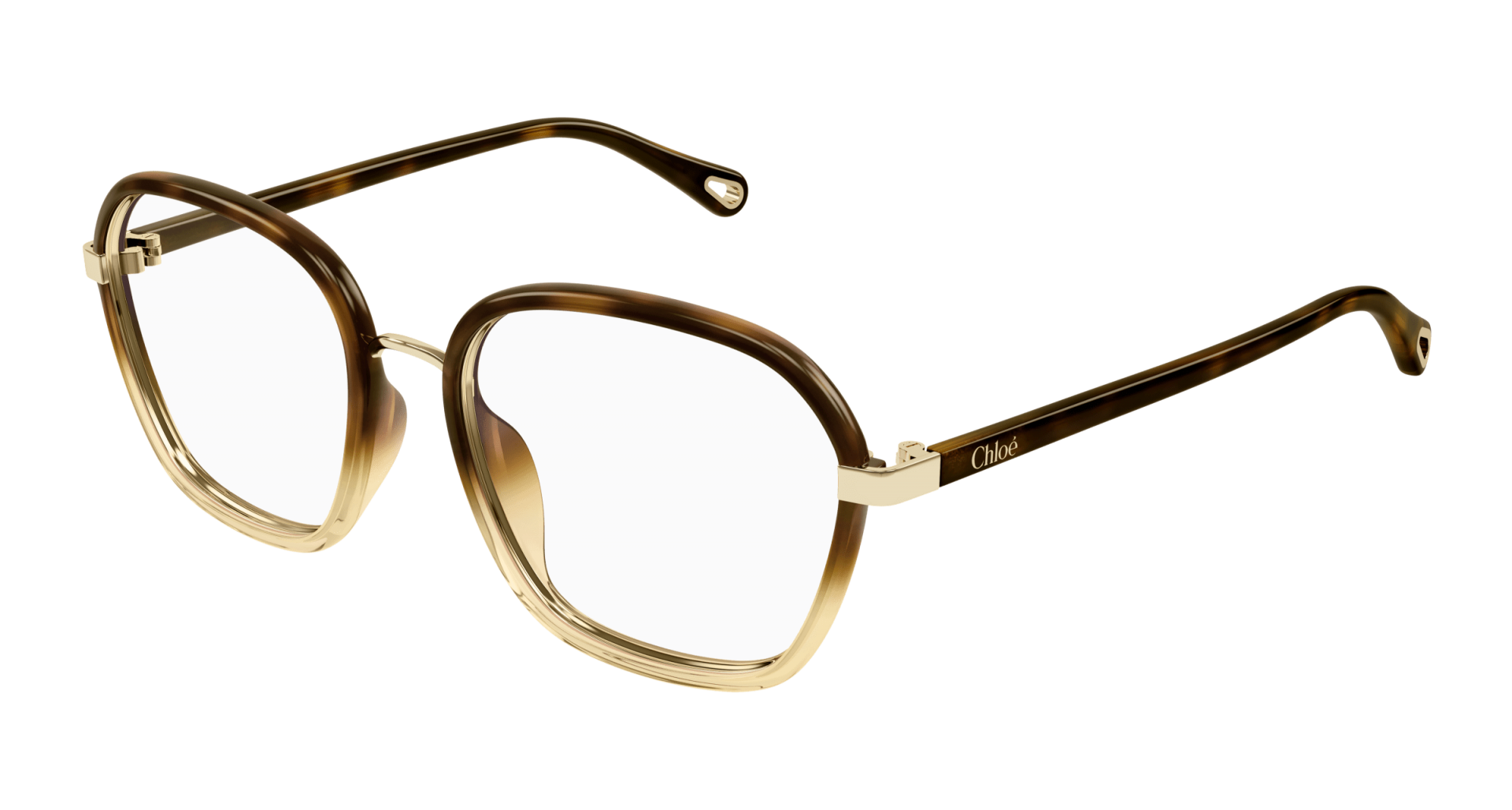 Ophthalmic frames Chloé CH0309O 002 8056376562019 | Ottica Lux