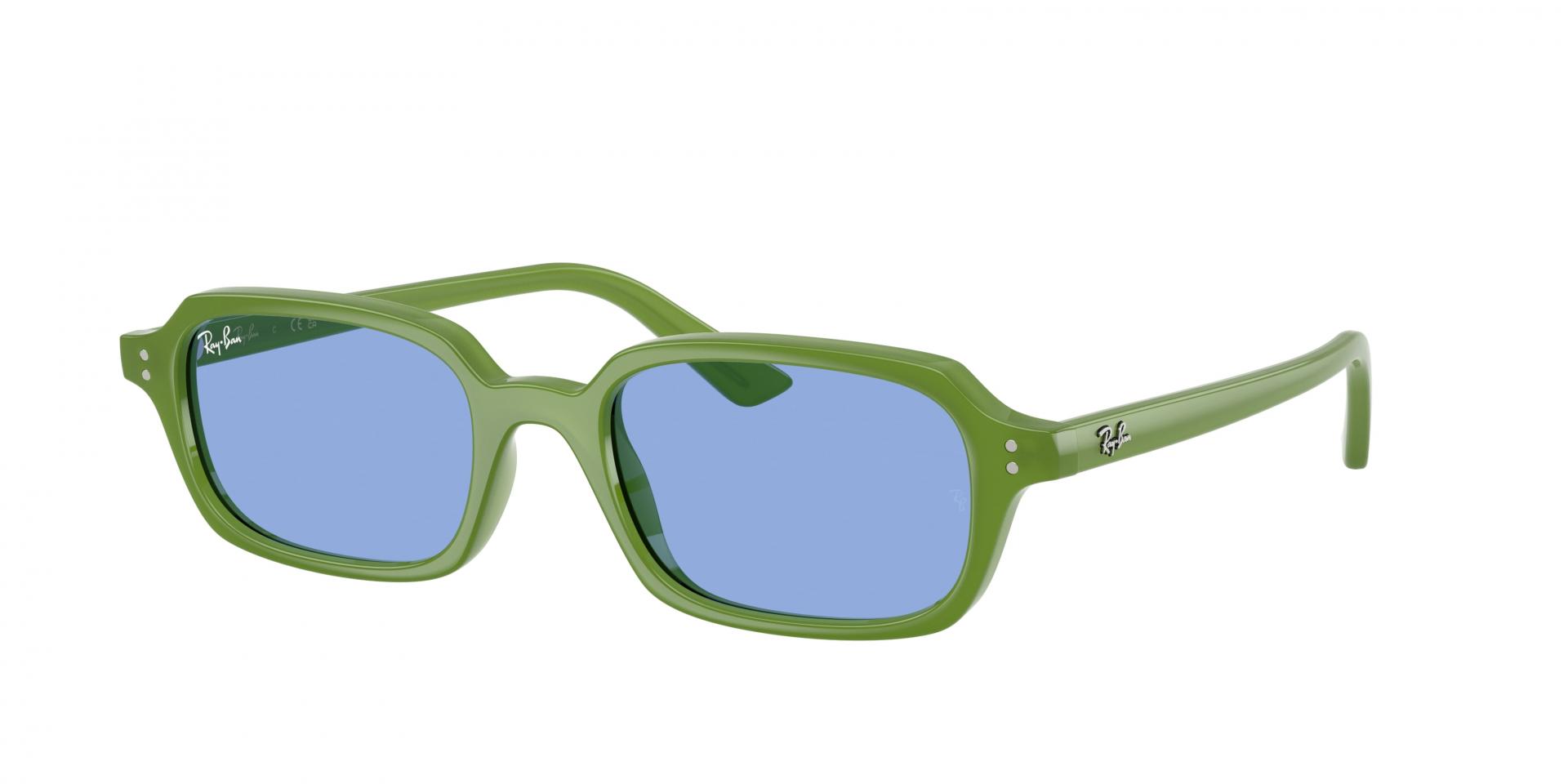 Occhiali da sole Ray-Ban RB3734 001/3R 8056262041109 | Ottica Lux