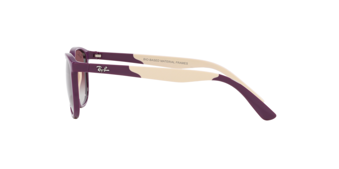 Sunglasses Ray-Ban RJ9077S 71348G 8056597843416 | Ottica Lux