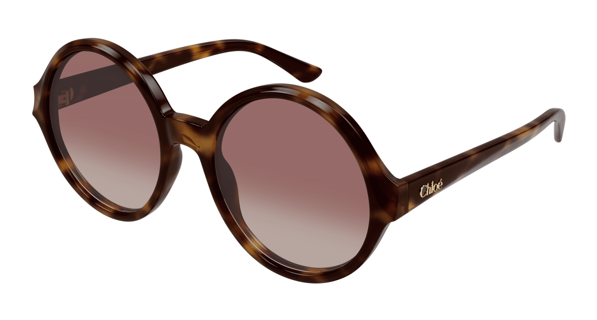 Occhiali da sole Chloé CH0290S 003 8056376561104 | Ottica Lux