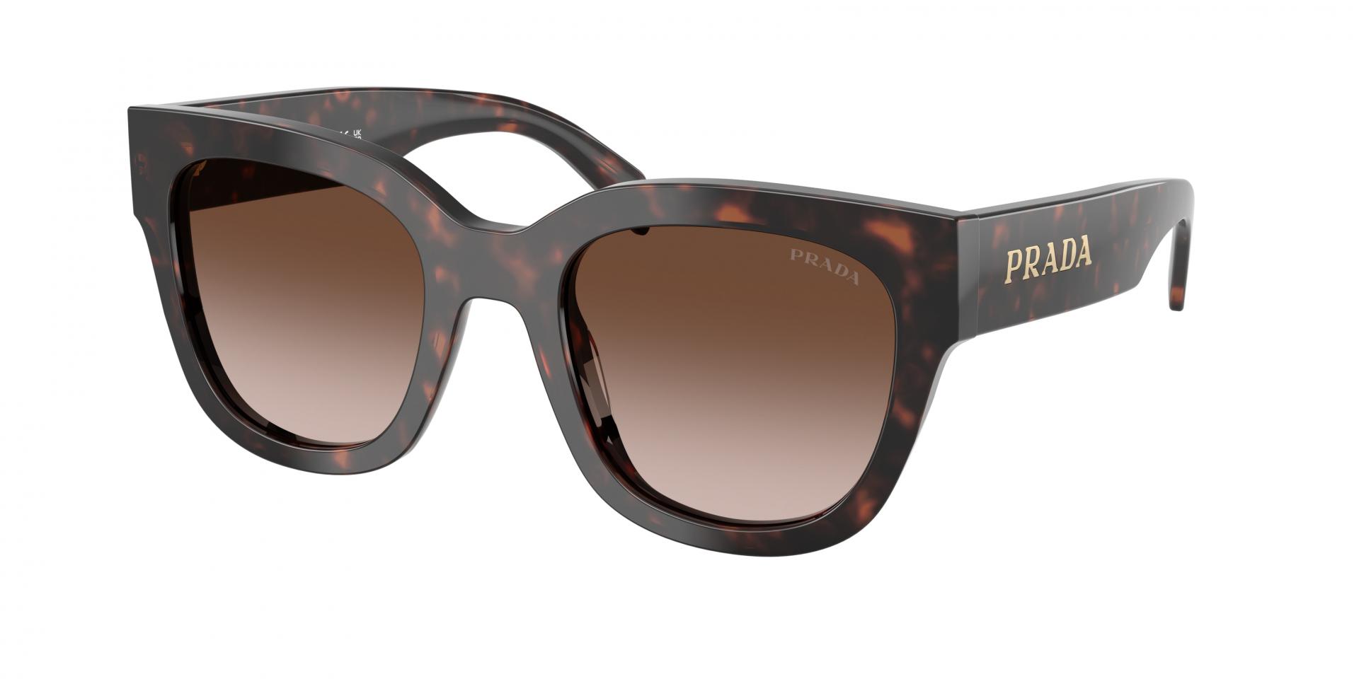 Sunglasses Saint Laurent SL M143 001 8056376539943 | Ottica Lux
