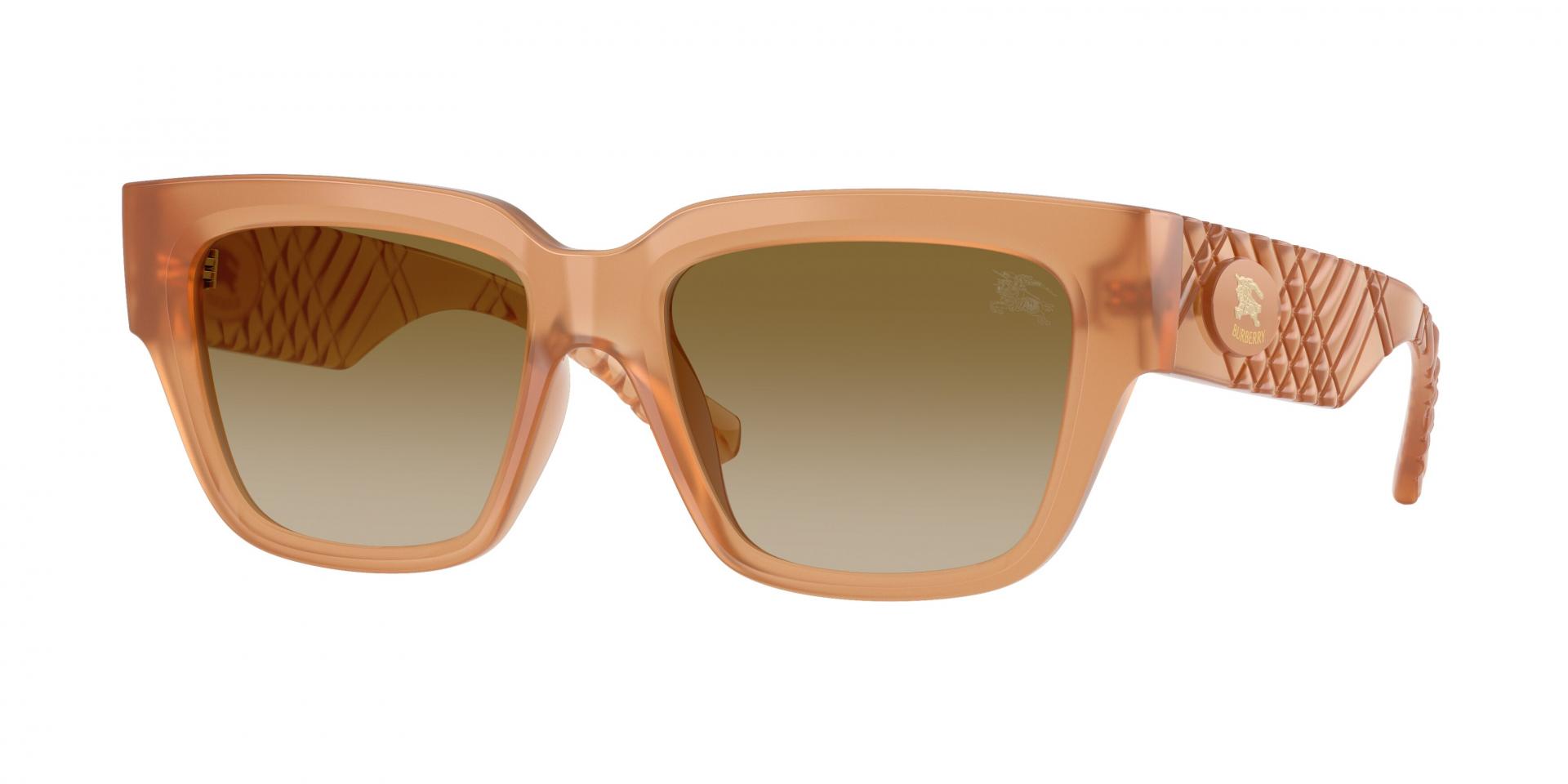 Occhiali da sole Burberry BE4506U 30018G 8056262973219 | Ottica Lux