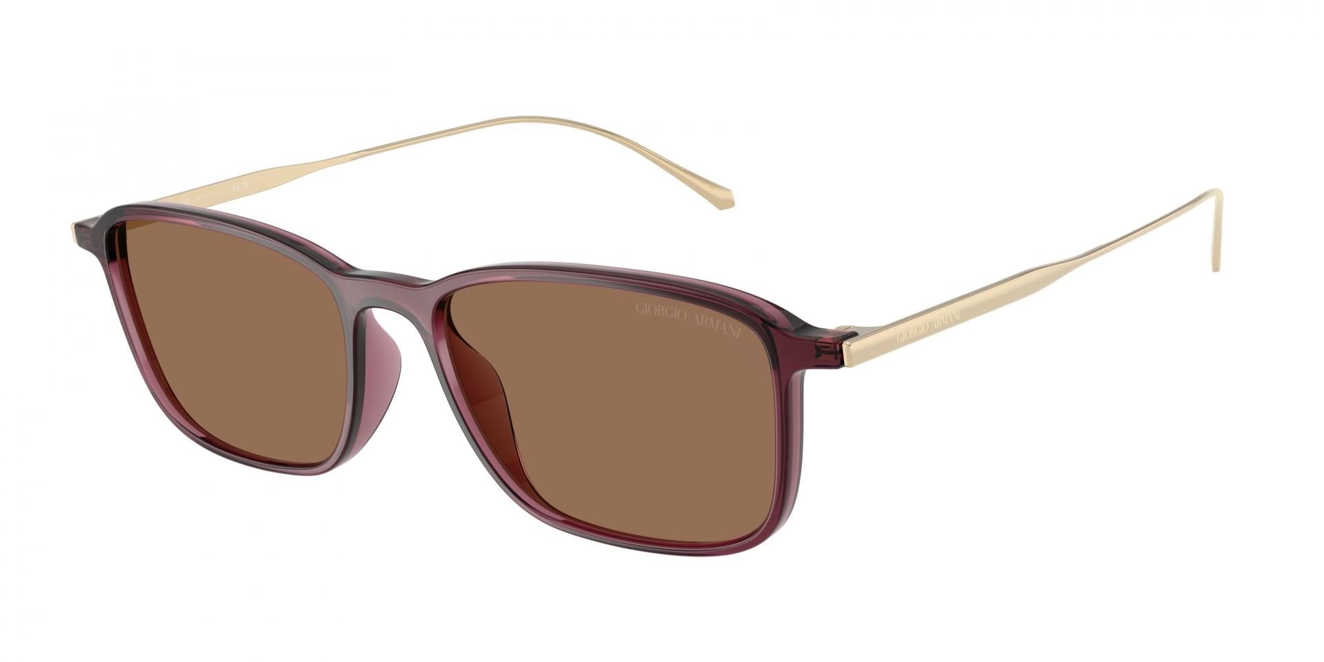 Occhiali da sole Giorgio Armani AR8264U 648987 8056262997109 | Ottica Lux