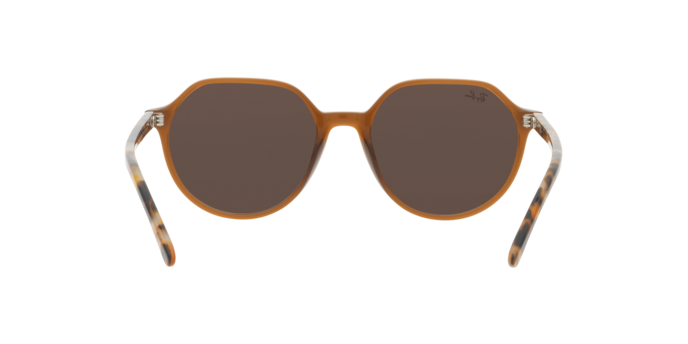 Sunglasses Ray-Ban RB2195 THALIA 663693 8056597759236 | Ottica Lux