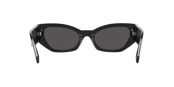 Sunglasses Dolce & Gabbana DG6186 501/87 8056597846219 | Ottica Lux