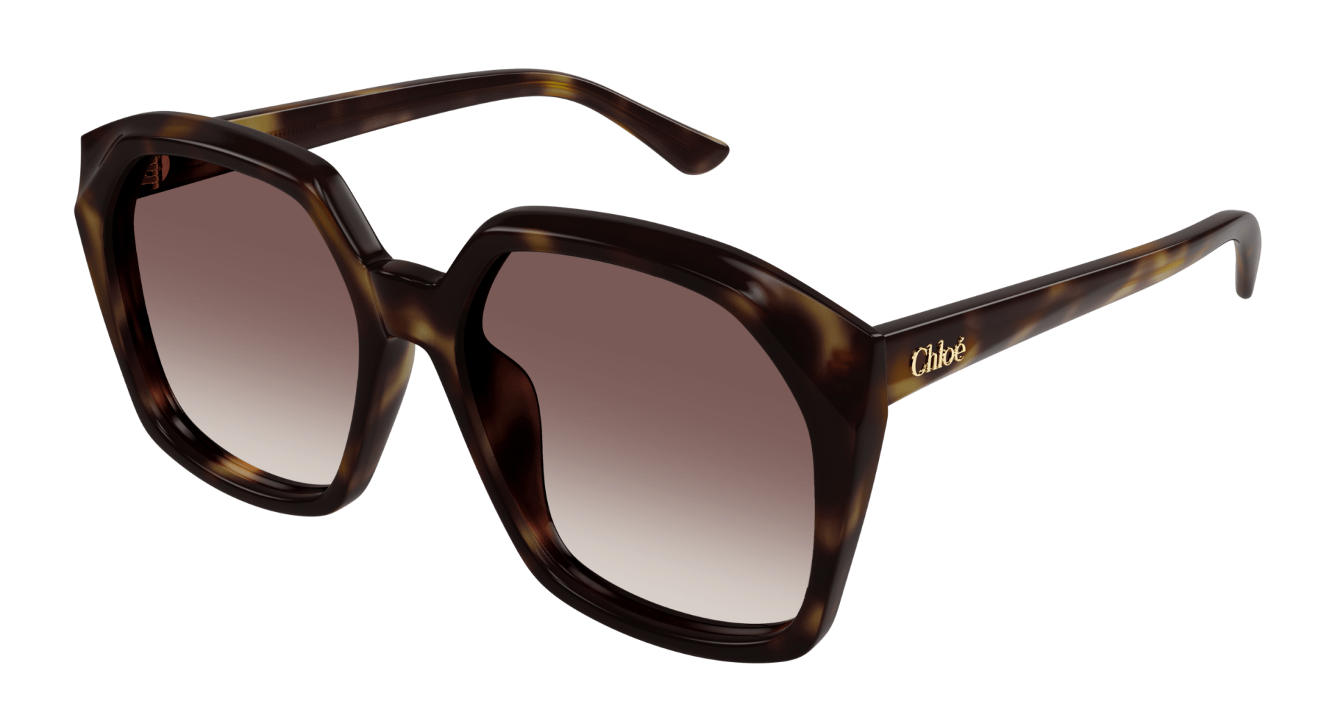 Sunglasses Chloé CH0280S 006 8056376541595 | Ottica Lux