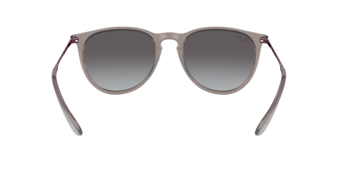 Sunglasses Ray-Ban RB4171 ERIKA 65138G 8056597369374 | Ottica Lux Sunglasses Ray-Ban RB4171 ERIKA 65138G 8056597369374 | Ottica Lux
