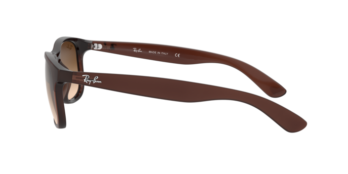 Sunglasses Ray-Ban RB4202 ANDY 607313 8053672188905 | Ottica Lux Sunglasses Ray-Ban RB4202 ANDY 607313 8053672188905 | Ottica Lux