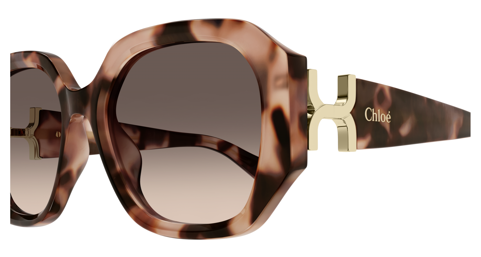 Sunglasses Chloé CH0236S 005 8056376659375 | Ottica Lux