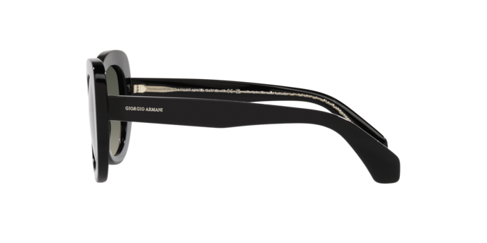 Sunglasses Giorgio Armani AR8168 587571 8056597768306 | Ottica Lux Sunglasses Giorgio Armani AR8168 587571 8056597768306 | Ottica Lux