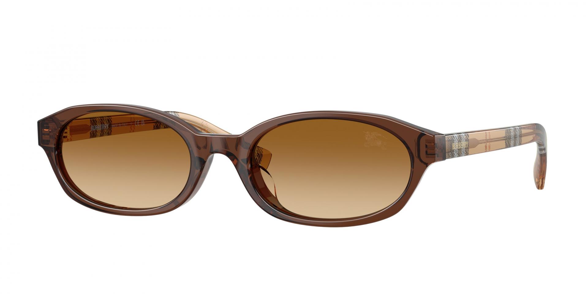 Sunglasses Burberry BE4508D 416773 8056262999103 | Ottica Lux