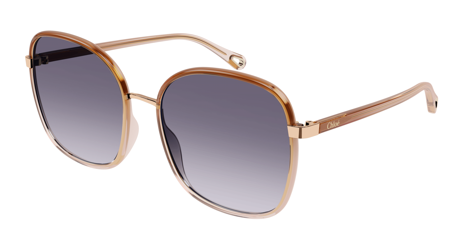 Sunglasses Chloé CH0031S 001 8056376341942 | Ottica Lux