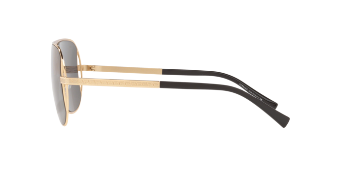 Sunglasses Versace ve2212 100287 8056597051729 | Ottica Lux