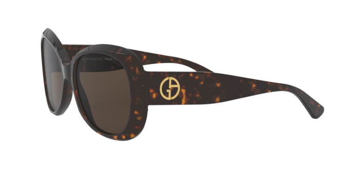 Occhiali da sole Giorgio Armani AR8132 502673 8056597182553 | Ottica Lux