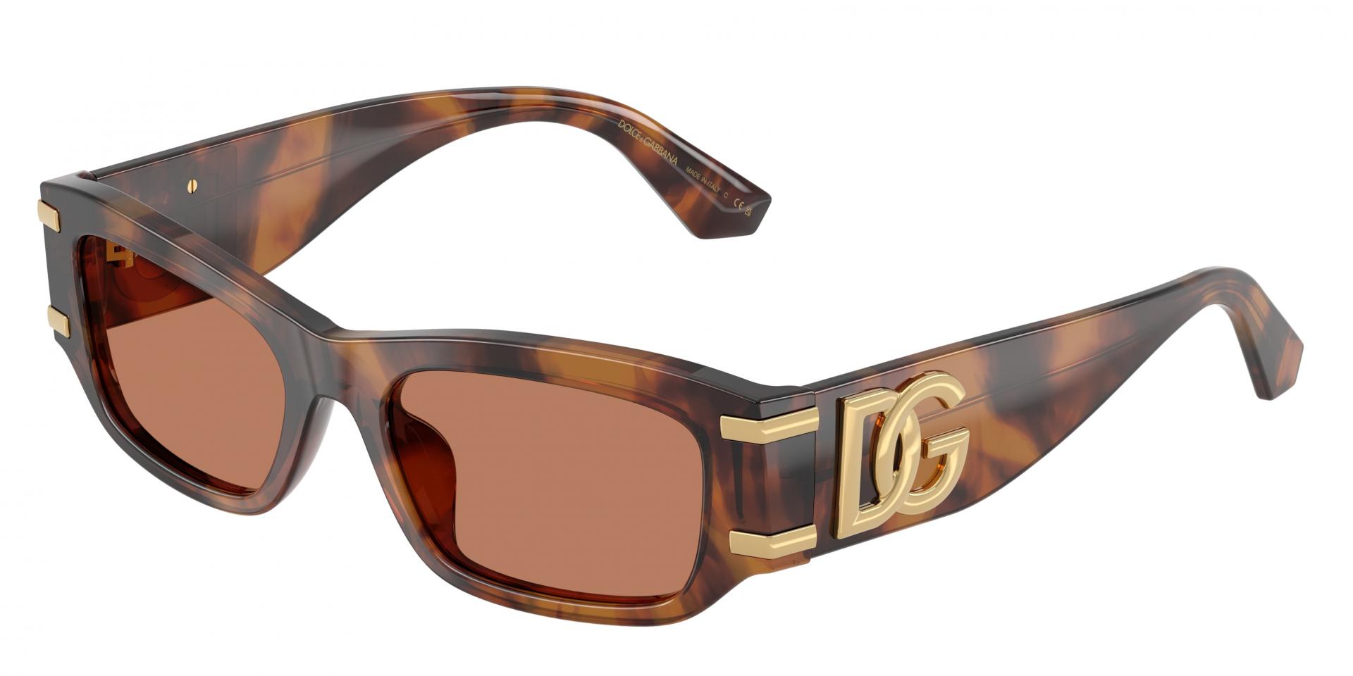 Sunglasses Dolce & Gabbana DG4564 501/87 8056266005787 | Ottica Lux