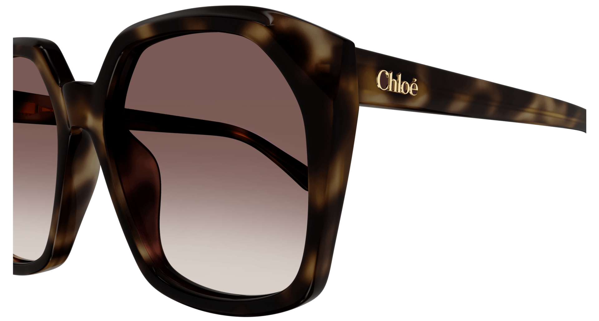 Sunglasses Chloé CH0280S 006 8056376541595 | Ottica Lux Sunglasses Chloé CH0280S 006 8056376541595 | Ottica Lux