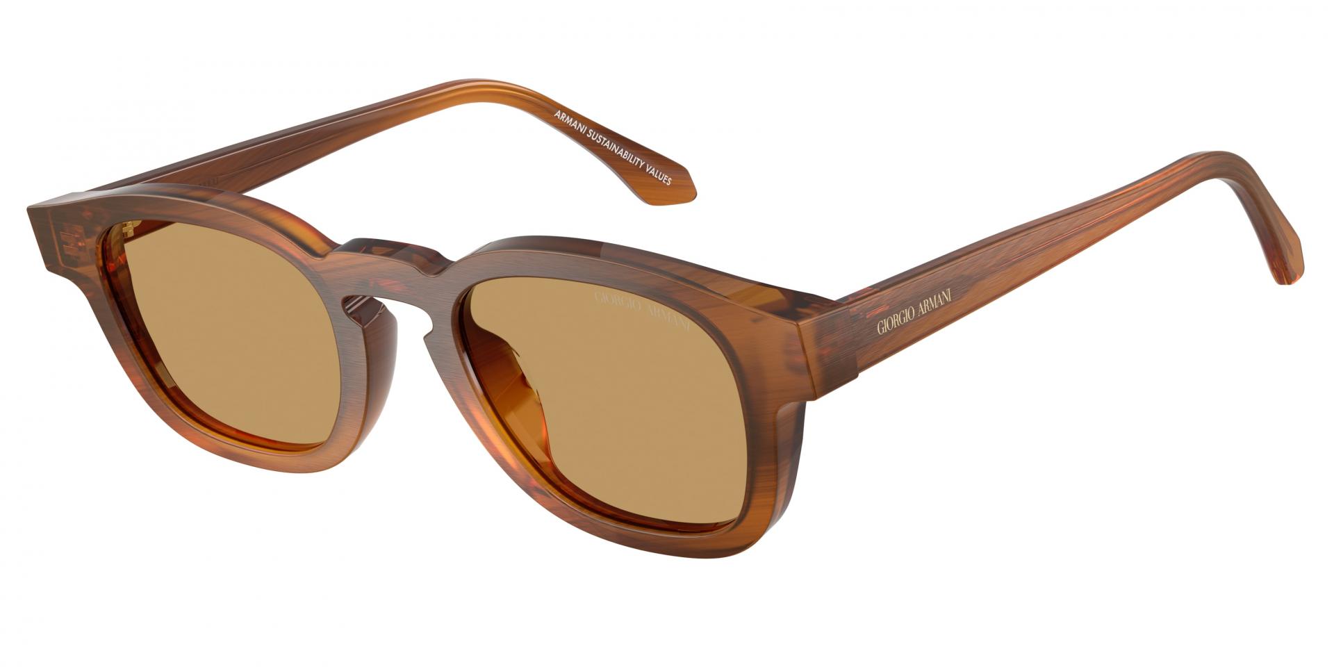 Occhiali da sole Giorgio Armani ar8254u 639273 8056262845349 | Ottica Lux