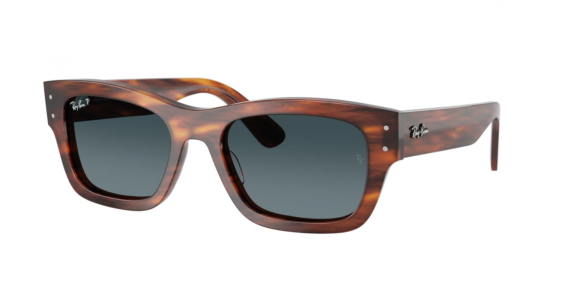Occhiali da sole Ray-Ban rb7683s JOSEPH 140285 8056262281895 | Ottica Lux