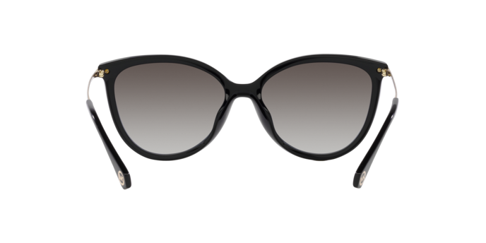 Occhiali da sole Michael Kors MK2184U DUPONT 30058G 0725125525992 | Ottica Lux