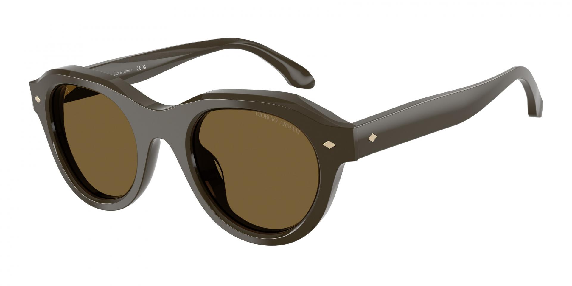 Sunglasses Giorgio Armani AR8261U 6060B1 8056262910238 | Ottica Lux
